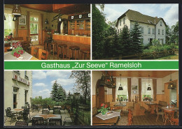 AK Ramelsloh / Seevetal, Gast- Und Pensionshaus Zur Seeve, Innen- Und Aussenansicht, Hinter Den Höllen 1  - Seevetal