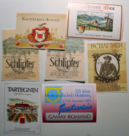 Lot 7 étiquettes Vin Suisse - Kalterersee-Auslese - Schlipfer - Festwein - Tartegnin - Hôpital Soleure Solothurn  /ES19 - Sonstige & Ohne Zuordnung