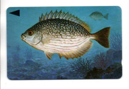 Poisson Fish Télécarte Bahrein Bahrain Phonecard ( T 427) - Bahrein