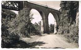 39    ENVIRONS DE CHAMPAGNOLELE VIADUC DU SYAM        9X14 - Champagnole