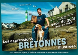 Les Expressions Bretonnes Illustrées (2020) De Simon Cojean - Dizionari