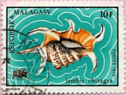 Madagascar (Rep) Poste Obl Yv: 517 Mi 676 Lambis Chiragra (cachet Rond) - Conchiglie