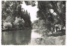 39  CHAMPAGNOLE LES BORDS DE L AIN  1962 - Champagnole