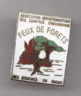 Pin's  Association Départementale Des Comités Communaux Des Bouches Du Rhone Feux De Forêts Réf 8173 - Verenigingen