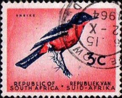 Afrique Du Sud Poste Obl Yv: 253 Mi:292 Laniarius Atrococcineus (TB Cachet Rond) - Usati