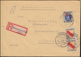 9+10 Freimarken Wappen 24+30 Pf MiF R-Brief Not-R-Zettel BAUMHOLDER 31.10.1946 - Emisiones Generales