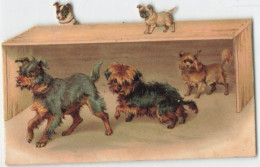 ANNEE 1885 - PETITS CHIENS - DOG - RARE CARTE CHROMO DECOUPIS - Envergure  (H.8cm X L.12cm) état - Tiere