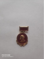 Badges USSR Lenin (8) - Lots