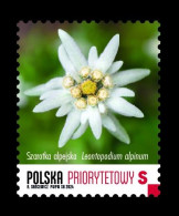 Poland 2024 Mih. 5527 Flora. Protected Plants. Edelweiss MNH ** - Ungebraucht