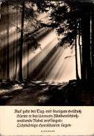 H3623 - FOTO - Björnson Spruchkarte - Christian Schubert Oberlausitzer Kunstverlag Ebersbach DDR - Altri & Non Classificati