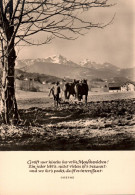 H3636 - Müller Brunke FOTO - Goethe Spruchkarte - Christian Schubert Oberlausitzer Kunstverlag Ebersbach DDR - Altri & Non Classificati