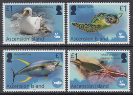 2021 Ascension Blue Belt Programme Birds Turtles Tuna Fish Marine Life Complete Set Of 4  MNH  @ BELOW FACE VALUE - Ascension