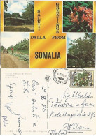 Somalia Dichrostachys Glomerata Tree S.2.30 Solo Franking Pcard 4 Views Of Bananas Farm Az.Agricola Banane 2feb1980 - Somalia