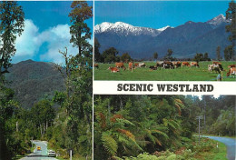 Nouvelle Zélande - New Zealand - Scenic Westland - Multivues - CPM - Voir Scans Recto-Verso - Nuova Zelanda