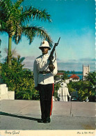 Antilles - Bahamas - Sentry Guard - CPM - Voir Scans Recto-Verso - Bahama's