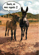 Animaux - Anes - Carte à Message - CPM - Voir Scans Recto-Verso - Donkeys