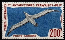 Franz. Antarktis Antarctique TAAF 1959 - Mi.Nr. 18 - Postfrisch MNH - Vögel Birds - Albatrosse & Sturmvögel