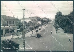 Forlì Cesenatico Viale Anita Garibaldi Foto FG Cartolina JK3347 - Forlì