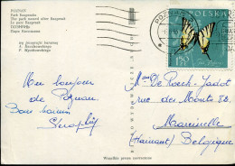 Post Card To Marcinelle, Belgium - Briefe U. Dokumente