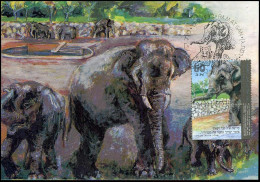 Maximum Card - Elefphants - Maximum Cards