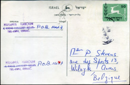 Post Card To Wilrijk, Belgium - Cartas & Documentos