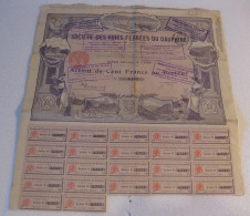 Société Des Voies Ferrées Du Dauphiné . Action De 100 Francs - Bahnwesen & Tramways