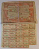 Société Des Voies Ferrées Du Dauphiné . Action De 500 Francs . 1896 - Bahnwesen & Tramways