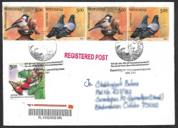 India 2024 World Environment Day,Pigeon,Sparrow,Bird,Fish,Strawberry,Fruit,Tree,Registered Cover (**) Inde Indien - Storia Postale