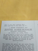 Doodsprentje Eugenie Verstegen / Gistel 25/8/1885 Kortrijk 4/4/1986 ( Zuster Marie Rosalie ) - Godsdienst & Esoterisme