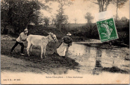 21149 Cpa Scènes Champêtres - L'Ane Récalcitrant - Donkeys