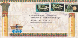 Burundi Cover - 1995 - Flowers Egyptian Theme Cover To Bujumbura Belgian Embassy - Cartas & Documentos