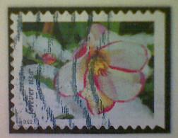 United States, Scott #5730, Used(o), 2022, Hellebore, (60¢), Multicolored - Oblitérés