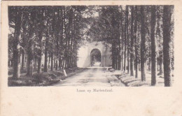 4844319Oosterbeek. Laan Op Mariëndaal Rond 1900. (zie Hoeken Achterkant) - Oosterbeek