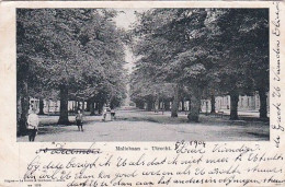 4844202Utrecht, Maliebaan. 1904. (zie Hoeken En Randen) - Utrecht