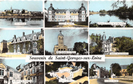 49-SAINT GEORGES SUR LOIRE-N°T335-D/0109 - Saint Georges Sur Loire