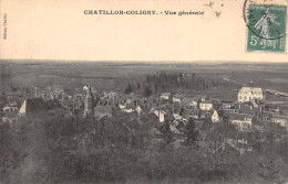 45-CHATILLON COLIGNY-N°T335-C/0125 - Chatillon Coligny