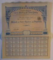 Société Anonyme Des Mines De SIDI-DRISS , Tunis 1908 , Action De 100 Francs - Bergbau
