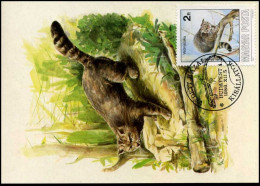 Hongarije - MK -  Dieren / Animals - Tarjetas – Máximo