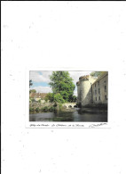 CARTE POSTALE 91 MILLY LA FORET LE CHATEAU DE LA BONDE - Milly La Foret