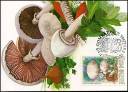 Hongarije - MK -  Paddestoelen / Mushrooms - Tarjetas – Máximo