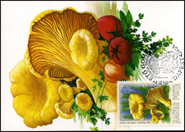 Hongarije - MK -  Paddestoelen / Mushrooms - Tarjetas – Máximo