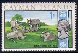 242 Cayman Cows Cattle MNH ** Neuf SC (CAY-44b) - Vacas