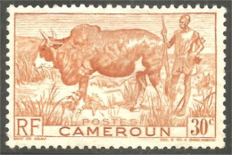 236 Cameroun Boeuf Bosse Vache Cow Kuh Koe Vaca Mucca Agriculture Élevage Sans Gomme (CAM-121) - Vacas