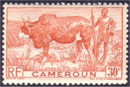 236 Cameroun 30c Elevage Boeuf Shepherd Cattle Breeding MH * Neuf (CAM-75) - Ernährung