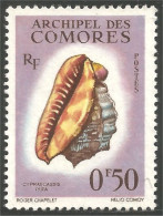 270 Comores Coquillages Shells Schaltier Mariscos Moluscos No Gum Sans Gomme (COM-105) - Conchiglie