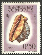 270 Comores Coquillages Shells Schaltier Mariscos Moluscos MH * Neuf (COM-45) - Conchiglie