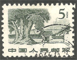 260 China 1961 Sha Cho Pa Tree Arbre (CHI-596) - Otros & Sin Clasificación