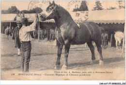 CAR-AATP7-61-0596 - MORTAGNE - Concours Hippique De Chevaux Percherons - Mortagne Au Perche