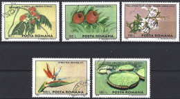 Romania 1995 - Mi 5129/33 - YT 4287/91 ( Plants & Flowers ) - Used Stamps