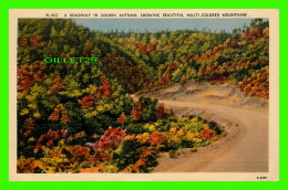 ATTALA, AL - A ROADWAY IN GOLDEN AUTUMN, SHOWING MULTI-COLORES MOUNTAINS - TRAVEL IN 1946 - ASHEVEILLE POST CARD - - Other & Unclassified